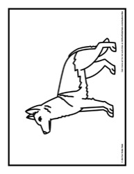 37
