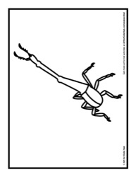 40
