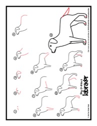 48