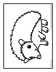 141