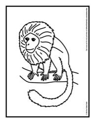 218